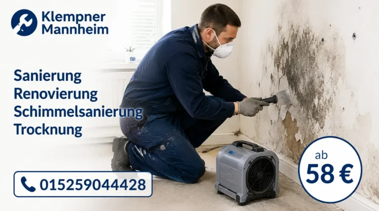Fachmann entfernt Schimmel und trocknet feuchte Wände