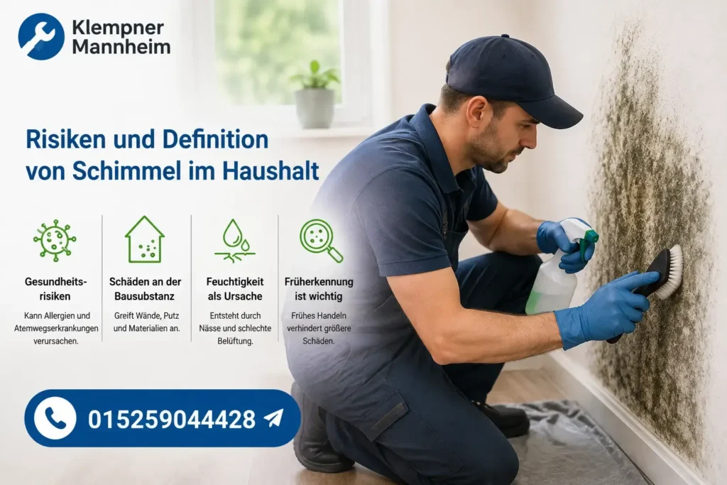 Fachmann bei der Schimmelbeseitigung an einer Wand