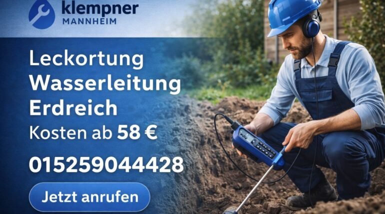 leckortung wasserleitung erdreich kosten