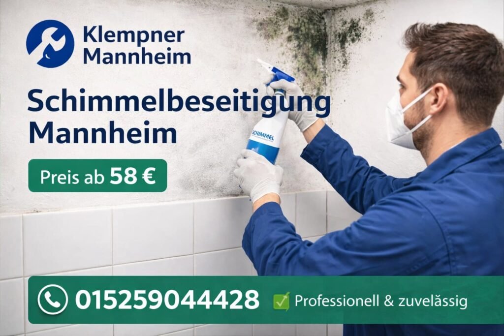 Schimmelbeseitigung Mannheim – Professioneller Klempner entfernt Schimmel, Preis ab 58€