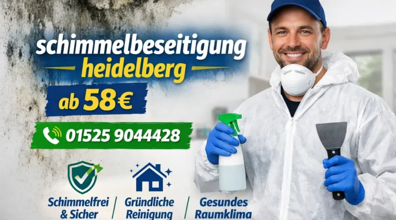 schimmelbeseitigung heidelberg