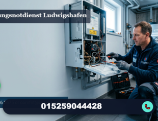 heizungsnotdienst ludwigshafen