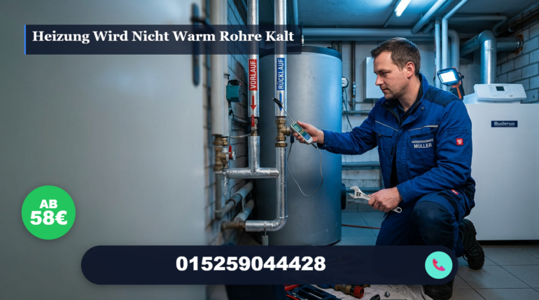 heizung wird nicht warm rohre kalt