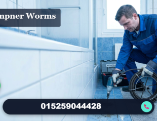 klempner worms