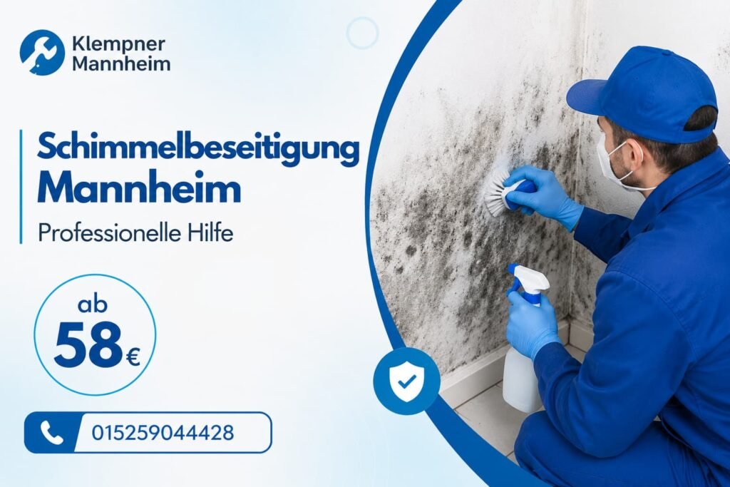 Professioneller Handwerker bei der Sanierung einer Innenwand