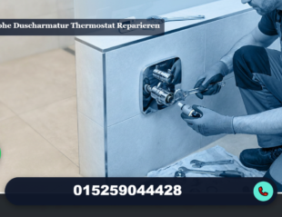 hansgrohe duscharmatur thermostat reparieren