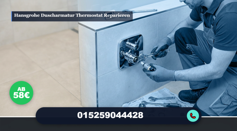 hansgrohe duscharmatur thermostat reparieren